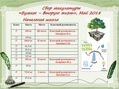Сдай макулатуру — спаси дерево!» — в Орехово-Зуевском округе стартует сбор  макулатуры
