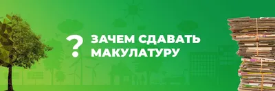 По всей России пройдёт сбор макулатуры: Всероссийская акция «БумБатл»