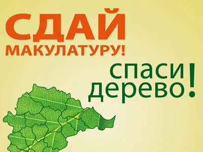 ПРИЕМ МАКУЛАТУРЫ во Владикавказе Визитница Владикавказа