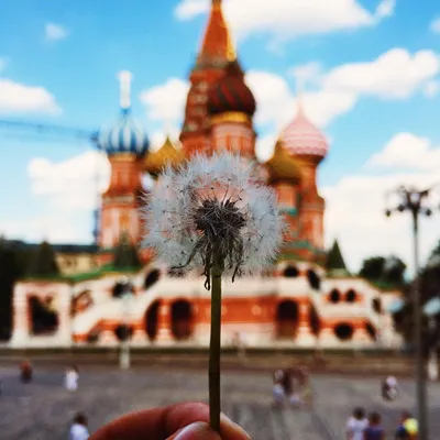 Счастье в простом | Smithsonian Photo Contest | Smithsonian Magazine