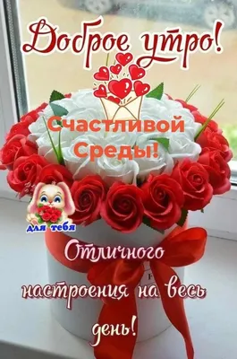 МИР Настроения - 28 АПРЕЛЯ - Счастливой среды!💕 | Facebook