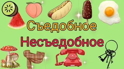 Развивающая игра \"Съедобное / несъедобное, горячее / холодное\" на липучках  для малышей, обучающие карточки, запуск речи, игра монтессори - купить с  доставкой по выгодным ценам в интернет-магазине OZON (534785957)