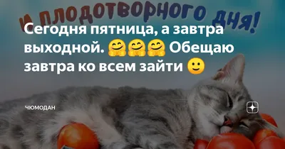 Сегодня#пятница#а#завтра#выходной#🥰😀 | TikTok