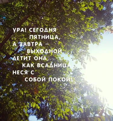 сегодня пятница а завтра выходной не найдём нам по стопочке с тобой｜Поиск в  TikTok