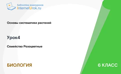 6 класс. Биология Серия 4 (Сезон 1, 2020) смотреть онлайн в хорошем  качестве в онлайн-сервисе Wink