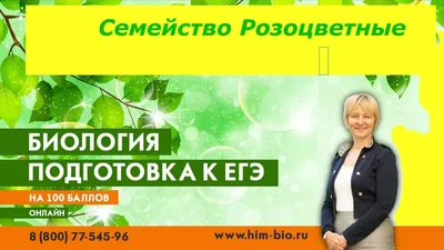 Семейство Розоцветные