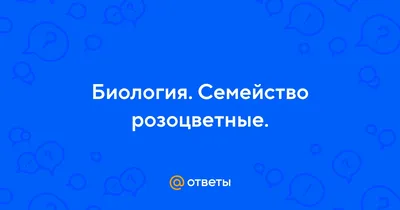 Набор мыла \"Семейство розоцветные\" в интернет-магазине Ярмарка Мастеров по  цене 650 ₽ – TSW0ARU | Мыло, Москва - доставка по России