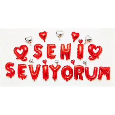 Seni Seviyorum Minigim; Iceride Serüven Var!: 9786257070034: Ronne Randall:  Books - Amazon.com