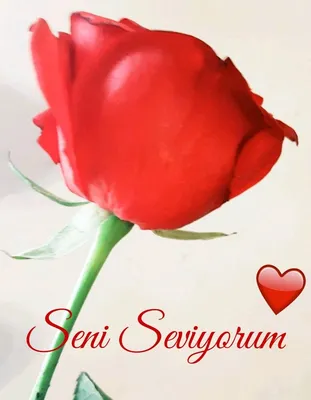 Seni seviyorum\" Poster for Sale by ElianaTorres | Redbubble