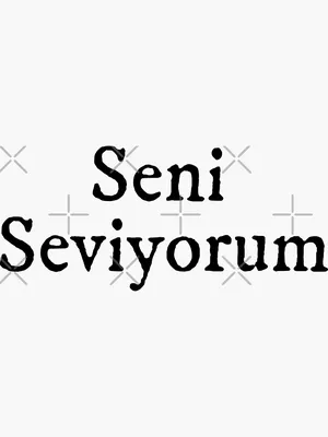 Seni Seviyorum Anne