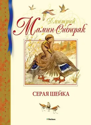 Сказки-минутки. Серая Шейка купить книгу с доставкой по цене 320 руб. в  интернет магазине | Издательство Clever