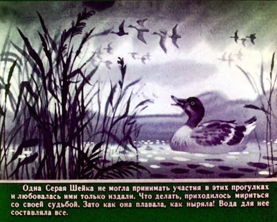 Раскраски Серая Шейка распечатать бесплатно в формате А4 (5 картинок) |  RaskraskA4.ru