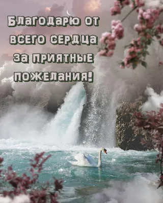 Сердечно благодарю Вас за поздравление по случаю четвертой годовщины моей  Патриаршией интронизации - РОСХВЕ