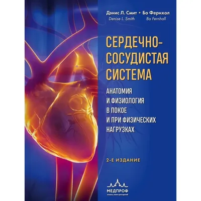 анатомическое сердце человека и сердечно-сосудистая система изолированы на  синем фоне. концепция здравоохранения. Иллюстрация вектора - иллюстрации  насчитывающей конструкция, людск: 225062408