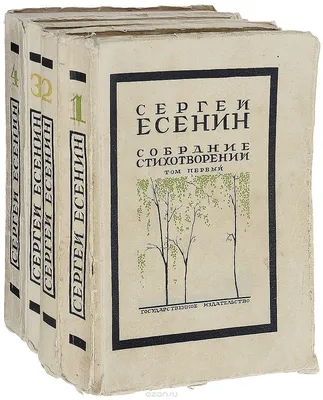 Сергей Есенин и Софья Толстая С. Зинин книга б/у (ID#1712432208), цена: 150  ₴, купить на Prom.ua