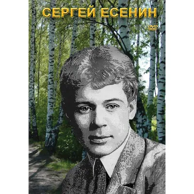 Мой муж Сергей Есенин, Айседора Дункан – слушать онлайн или скачать mp3 на  ЛитРес