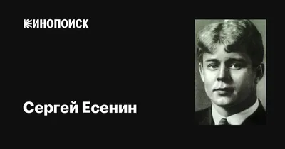 Сильные тексты: Сергей Есенин — «Письмо матери»