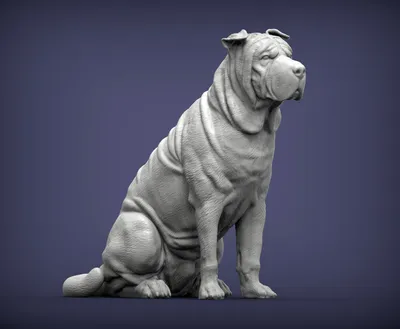 Sharpei dog Stock Photo by ©kavita 2055526