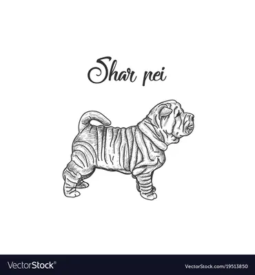 Adorable Black Sharpei | Cute Dog Art\" Sticker for Sale by shirinsart |  Redbubble