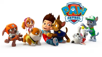 Купить Paw Patrol Набор героев Щенячий патруль с механической функцией  Action Pack Rescue Team Everest Editionпо отличной цене в киеве