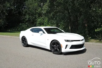 New 2024 Chevrolet Camaro in JOHNSTOWN, OH