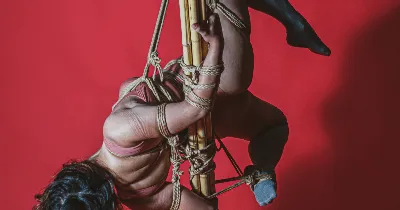 Male shibari stock photo. Image of bondage, macho, problems - 35266468
