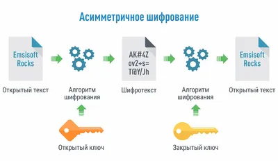 Симметричное и ассиметричное шифрование: просто о сложном | OTUS