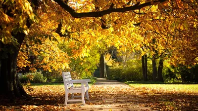 Октябрь, картинки на рабочий стол (42 фото) | Осенний пейзаж, Пейзажи,  Осенние картинки