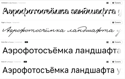 Подборка бесплатных шрифтов (кириллица/латиница) — Алена Моисеева на  TenChat.ru