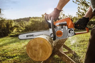 Stihl MS 250 Chainsaw — Russo Power Equipment