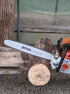 Mass furlough at Virginia Beach-based chainsaw manufacturer Stihl - World  Socialist Web Site