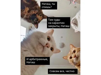 Две недели еще не прошло. Можно вернуть товар обратно?\": самые смешные шутки  о начале 2021 – фото