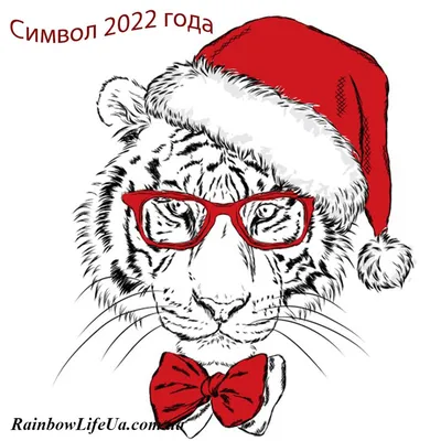 МЯГКИЙ ТАЛИСМАН ИЛИ СИМВОЛ 2022 ГОДА - ЭТО ТИГР!