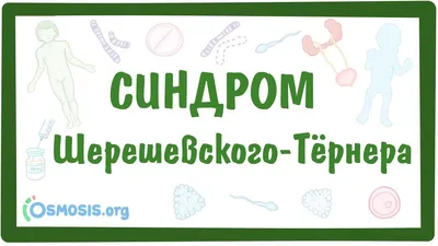 Наследственные болезни, подготовка к ЕГЭ по биологии