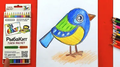 Как нарисовать СИНИЦУ рисуем прицу карандашами РыбаКит - YouTube