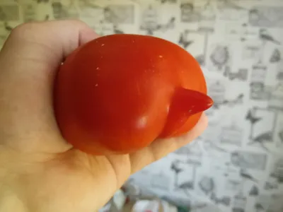 Скин Синьор Помидор (Tomatohead)