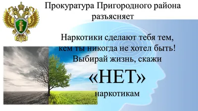 Беседа «Скажем наркотикам — НЕТ!» 2022, Семилукский район — дата и место  проведения, программа мероприятия.