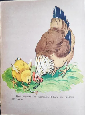 [80+] Сказка чуковского цыпленок в картинках обои