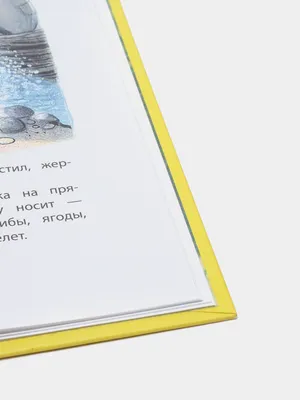 Все сказки и картинки. Сутеев Владимир Григорьевич - «Самые лучшие рассказы  для детей. Моя находка книга В. Сутеева Все сказки и картинки.» | отзывы