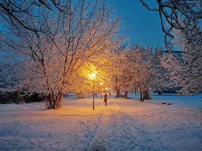 Сказочная зима — Фото №279561