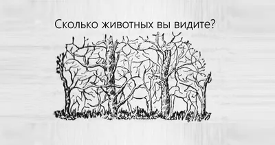 Сколько ты видишь лиц на картинке? Сколько ты видишь лиц на картинке?