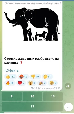 Тест на внимательность: сколько животных вы видите на этой картинке?