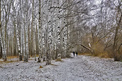 Скоро зима. Фотограф Сергей Аникин