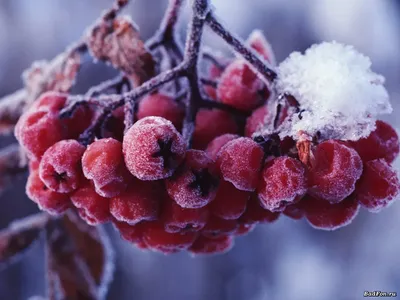 Vsava – Скоро зима (Winter is coming) Lyrics | Genius Lyrics