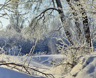 Скоро зима и снег! стоковое фото. изображение насчитывающей природа -  166141698