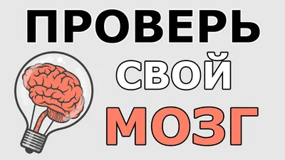 Сломай мозг | Пикабу