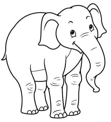 Рисунок слон раскраска - 80 фото