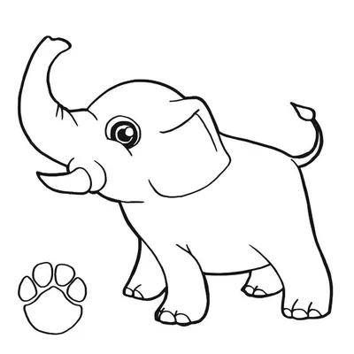 Раскраска «Индийский слон» для печати (25 х 25 см) - AURORE ARTS /  @aurore_raskraski - скачать на Wildberries Цифровой | 129295