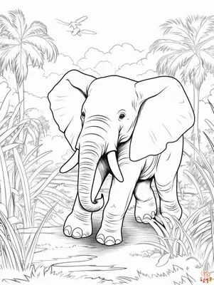 Слон индийский слон Раскраски антистресс а4