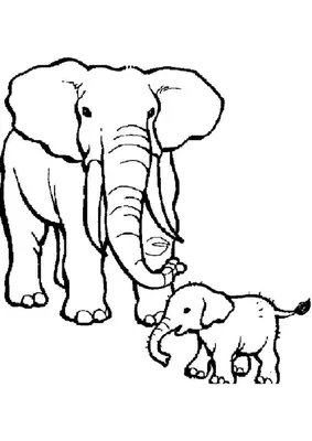 Раскраска слон для мальчиков и девочек высокого качества скачать и  распечатать